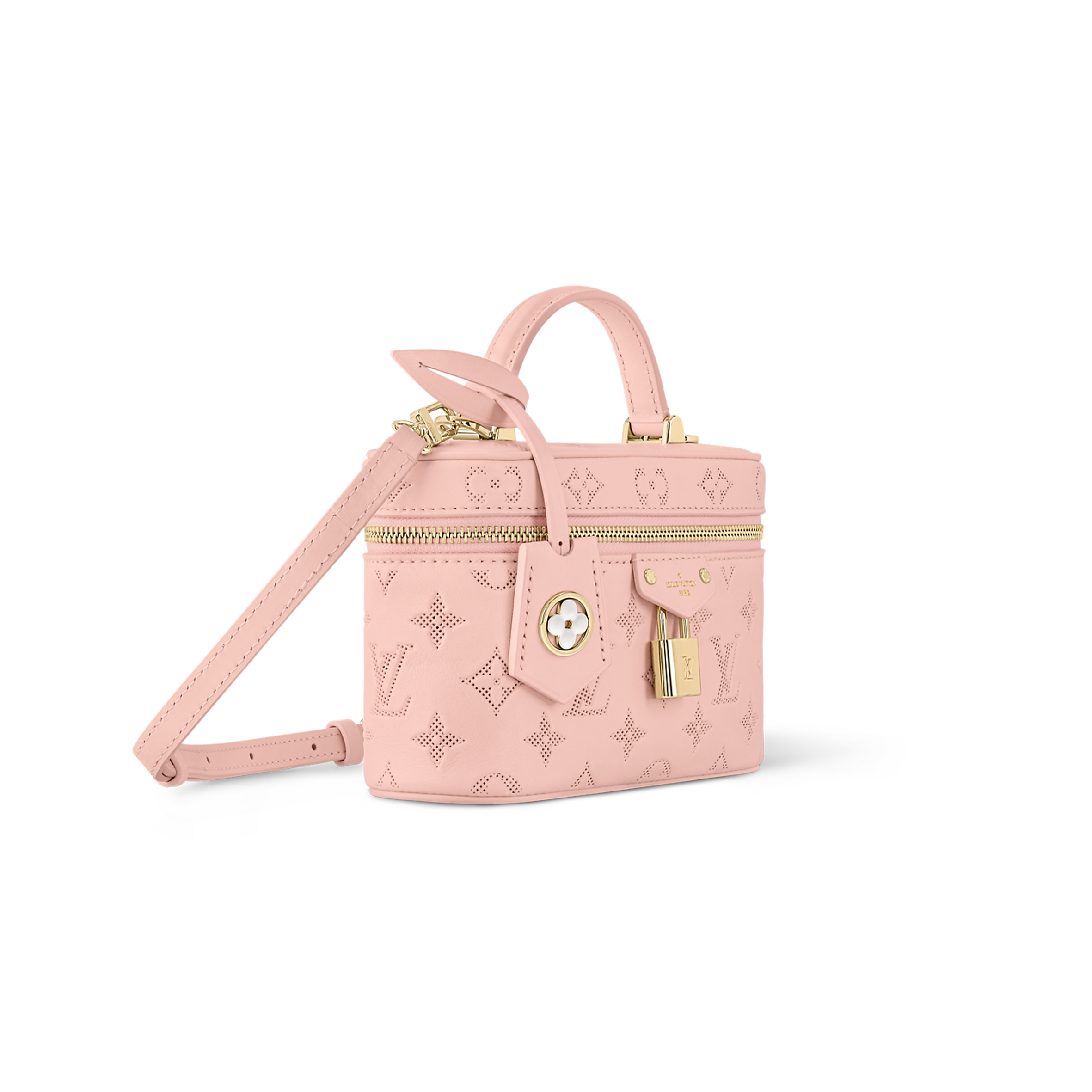 LOUIS VUITTON MASTER VANITY POUCH M11298 (19*11*7cm)